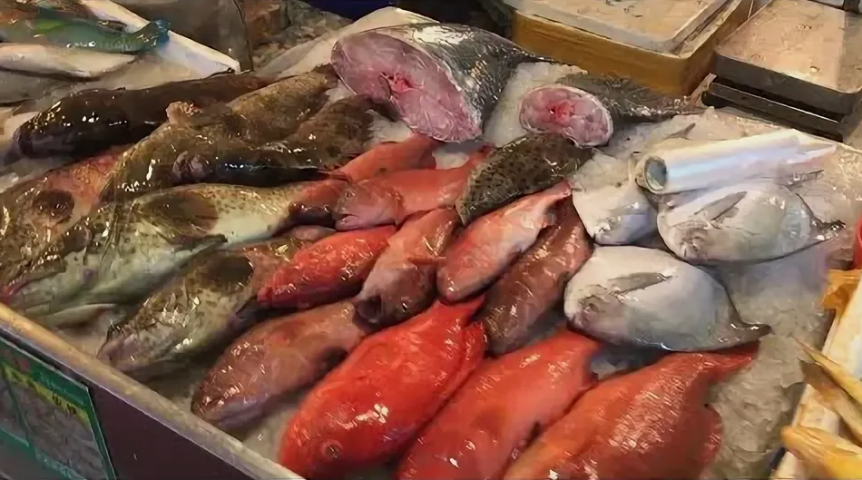 Морепродукты на Первом рынке Саньи: покупаем сами, готовят рядом